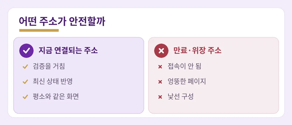 지금 연결되는 검증된 주소와 만료·위장 주소의 차이 비교